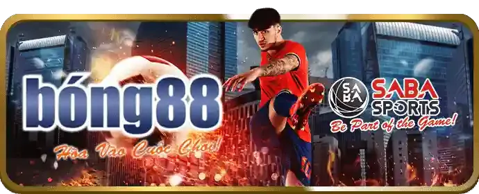Hoàn trả hàng ngày/tuần trên ứng dụng MM88B